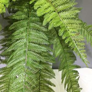 Yapay büyük ölçekli farsça yaprak duvara monte çift katmanlı ince dişler ile Fern yaprak bitki duvar - Product Image 3