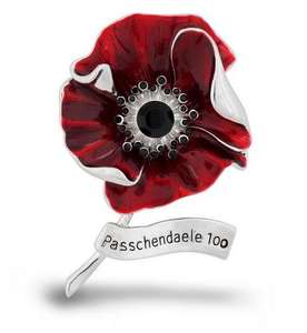 Rote Öltropfen-Mohnblumen-Brosche Passchendaele Vergessen Sie Nicht Schmuck Großhandel Rote Blumen-Brosche Individuelle Geschenke und Souvenirs - Product Image 5