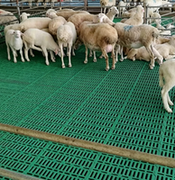 Plancher à lattes en plastique sur mesure pour ferme d'élevage, anti-dérapant, facile à nettoyer, pour l'évacuation du fumier de chèvres et de moutons