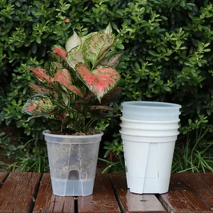 High Quality Transparent And White Garden Plant Orchid Pots Clear Plastic Flower Planter Self Watering Pot For Home Balcony