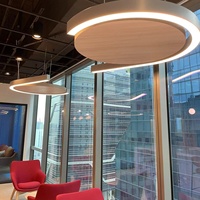 Lampe suspendue circulaire de chine, formes personnalisées, lumière directe et indirecte, lumière linéaire led suspendue