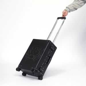 Bằng sáng chế Hổ được thiết kế 20 inch nhôm hành lý xe đẩy vali nhôm hành lý nhôm - Product Image 5