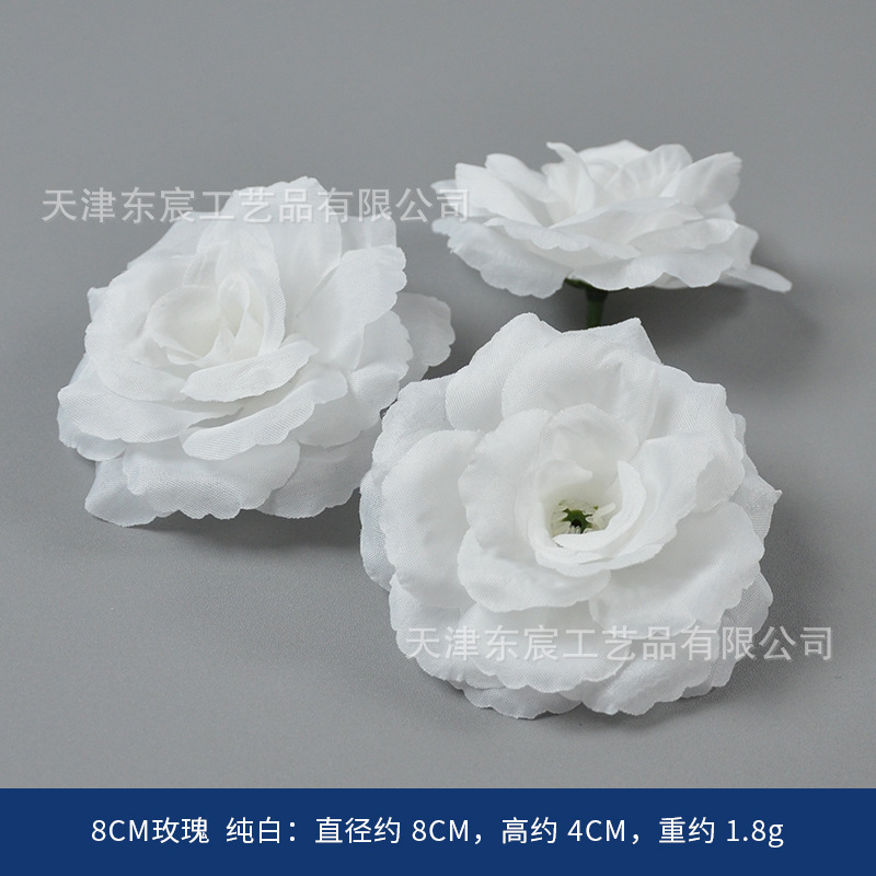 8cm rose, pure white