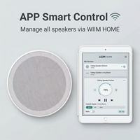 Speaker Langit-langit Nirkabel Rumah Tangga dengan Amplifier Terintegrasi, Sistem Audio DLNA, Mendukung WiFi, BT, USB, Airplay, Multi-room, dan Remote Control