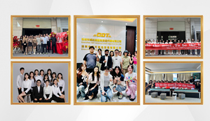 China Logistics <span class=keywords><strong>Company</strong></span> Servicio de carga marítima Servicios logísticos Puerta a puerta a Canadá EE. UU. - Product Image 6