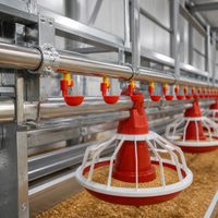 Structure en acier galvanisé à chaud haute résistance pour poulailler, avec cadre préfabriqué en acier et système d'abreuvement automatique par pipettes et ventilation.