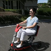 Tricycle électrique cargo à 3 roues 250W pour UE/États-Unis, 350W, carrosserie ouverte, avec batterie au lithium amovible 48V, autonomie de 30 km