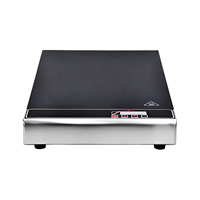 Kommerzielle Speisenwärmeplatte FY-T53-D 250W Elektrisch Isolierte Speisenwärmeplatte 610x325mm mit Timer für Buffet und Restaurant