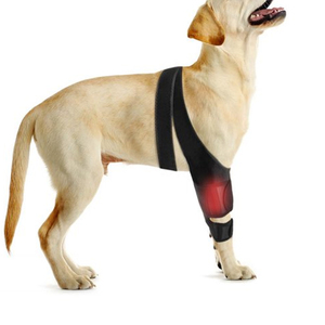 สายรัดหัวเข่าสำหรับสุนัขสัตว์เลี้ยงสำหรับฉีกขาด ACL หมวกสำหรับบาดเจ็บเอ็นปลอกรัดข้อแก้ปวดข้อปรับได้ขาสุนัขแมวรองรับข้อศอก - Product Image 2