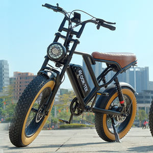 फूड डिलीवरी इलेक्ट्रिक बाइक 20 इंच वसा टायर इलेक्ट्रिक साइकिल 48v 17.5 ह हटाने योग्य बैटरी - Product Image 1