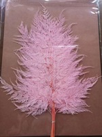 Vente chaude 10 pièces Flocons de neige stabilisés naturels Fougère stabilisée Éternelle Décoration de mariage Noël Maison