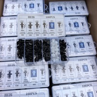 HE26 100 pièces Clips de fixation pour voiture tamponneuse, rivets en plastique, kit de fixation à poussoir, avec 6 tailles, ensemble de rivets de verrouillage à poussoir pour automobile