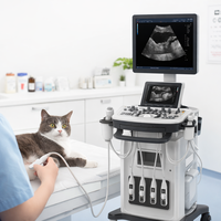 Equipo de Ultrasonido Doppler Color 4D HD para Diagnóstico Clínico, Montado en Carro, para Uso Humano y Veterinario