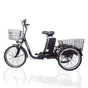 20 인치 뜨거운 판매 3 바퀴 전기 자전거 전기 tricycles 세 바퀴 성인 화물 전기 자전거 바구니