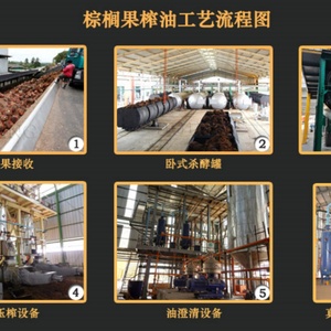 Mới Tự Động Lớn Lòng Bàn Tay Trái Cây Dầu Tinh Chế Hoàn Chỉnh Dây Chuyền Sản Xuất Hiệu Quả Tách Khai Thác Dầu Hạt Giống Nguyên Nhà Máy - Product Image 6