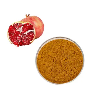 Factory Wholesale 40%Polyphenol Pomegranate Bark Extract Powder