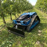 Livraison Gratuite Tondeuse à Gazon Télécommandée sur Chenilles 500mm 800mm Haute Efficacité Coupe-Herbe CE EPA Fabricant