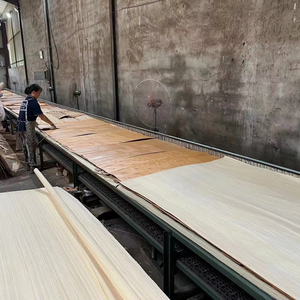 Línea de Producción de Madera Contrachapada YUEQUN, Máquina Pavimentadora Venener para Paneles a Base de Madera, Maquinaria Nueva - Product Image 1