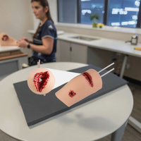 Kit de Modelo Anatómico de Silicona para Educación Médica, Entrenador de Tareas de Control y Detención de Hemorragias para Entrenamiento de Enfermeras en Hospitales