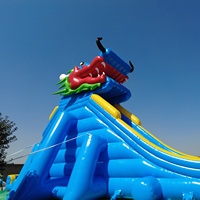 Toboggan aquatique gonflable géant en PVC avec tête de dragon chinois, 10 x 40 m, pour parc aquatique extérieur commercial