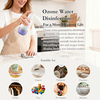 Pulvérisateur d'eau ozonée éliminant 99,99 % des germes, brume nano ultra-fine d'eau ozonée