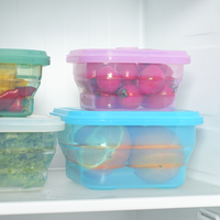 Boîte à lunch pliable en silicone hautement transparente pour l'extérieur, couvercle de qualité alimentaire, résistant à la chaleur, anti-odeur, pour le camping