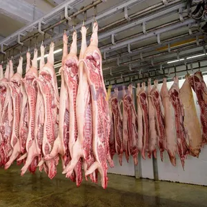 食肉処理装置家畜肉屋ツールカーカス冷却輸送ライン豚の食肉処理機ライン