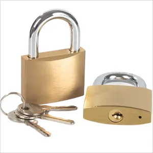 กุญแจสายยูสแตนเลสสตีลเพื่อความปลอดภัย20มม. สีทอง