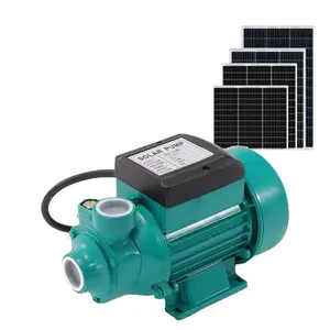Hot Sales QB60 High Quality Solar DC12V Vortex High Pressure Self Suction Pump Brushless Booster Centrifugal Pump for Household