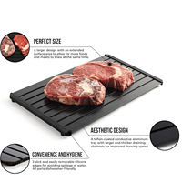 SEB Plateau de décongélation en aluminium écologique de 16 pouces pour viande congelée et aliments surgelés, processus de décongélation naturel, format familial