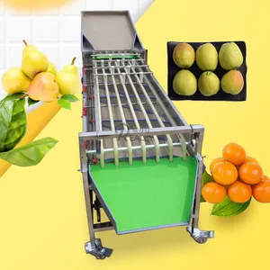 2M 6 Channel Commercial Fruit Vegetable Grader Automatic Peach Apple Garlic Sorting Machine Walnut Potato Tomato Sorter