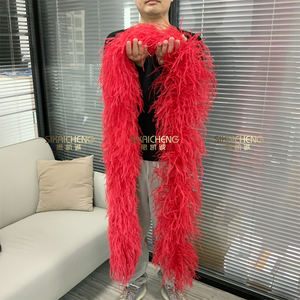 ขนนกกระจอกเทศ1-30ply ตัดขอบบนสายสีรุ้งขนนกงูเหลือม - Product Image 3