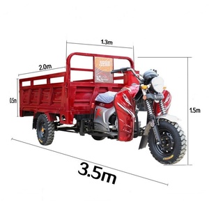 Tricycles motorisés bleus à 3 roues, à essence, 250 cm³, pour le transport agricole - Product Image 6