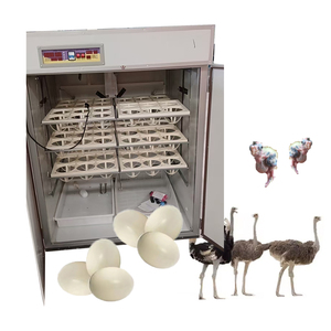 72개 타조 부화기 오스트리아 계란 부화 상자 - Product Image 6
