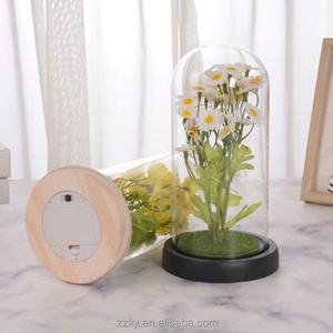 Lampe de nuit décorative LED en forme de dôme avec fausse marguerite, cadeau pour la Saint-Valentin, anniversaire, mariage, vente en gros - Product Image 2
