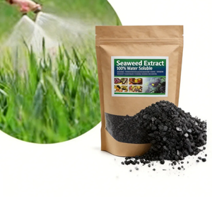 Engrais organique en poudre d'extrait d'algues de qualité supérieure, entièrement soluble dans l'eau, favorise l'enracinement des plantes, agriculture - Product Image 6