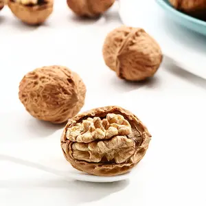 Chinese origin high-quality thin skin original walnut