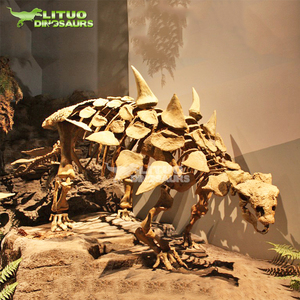 <span class=keywords><strong>Esqueleto</strong></span> de Dinosaurio <span class=keywords><strong>Estegosaurio</strong></span> Tuojiangosaurus de Tamaño Real en Venta - Product Image 4