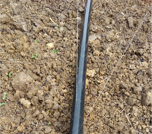 Sistema <span class=keywords><strong>de</strong></span> riego por goteo para granja, microcinta <span class=keywords><strong>de</strong></span> pulverización para riego <span class=keywords><strong>de</strong></span> agua - Product Image 4