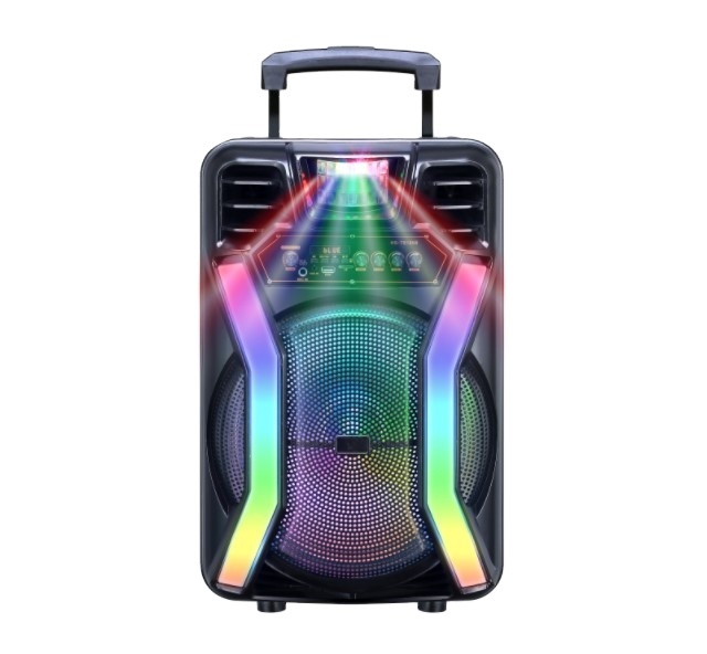 12 Inch Professional Portable Karaoke Disco Music System Speaker RGB LED Lighting Waterproof USB Mini DC Battery Low Price