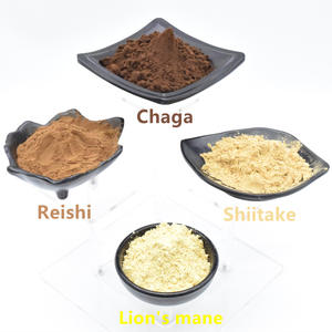 Bubuk jamur <span class=keywords><strong>Cordyceps</strong></span> alami terapi, manfaat ekstrak Jamur Chaga, produk kesehatan - Product Image 6