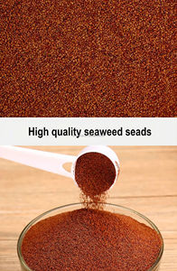 OEM ODM naturale biologico fai da te facile da usare naturale maschera di gelatina di alghe in polvere alga Peeling maschera facciale 100% foglio di alghe maschera - Product Image 5