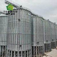 Silo in acciaio con fondo a tramoggia per alimentazione automatica e dosaggio, per piccole impianti di lavorazione cereali e allevamenti