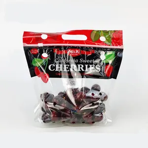 raisins impression Suppliers-Emballage de fruits à fermeture éclair, pochette plastifiée, en plastique avec poignée et trous, pour le raisin/cerise, meilleure vente, en stock