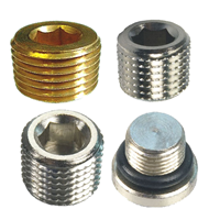 Bouchons de pression résistants à la haute pression pour systèmes hydrauliques-Bouchon de test de tuyau durable avec installation rapide