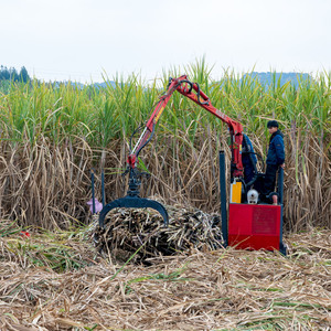 XUVOL OEM/ODM Accionamientos de motor hidráulico 360 Rotación <span class=keywords><strong>Trabajos</strong></span> de caña de azúcar Camión volquete de caña de azúcar con pinza - Product Image 2
