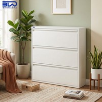 Armoire à chaussures moderne de grande capacité, armoire de rangement pour chaussures en acier, montage rapide, meubles en métal pour salon, hôtel, appartement