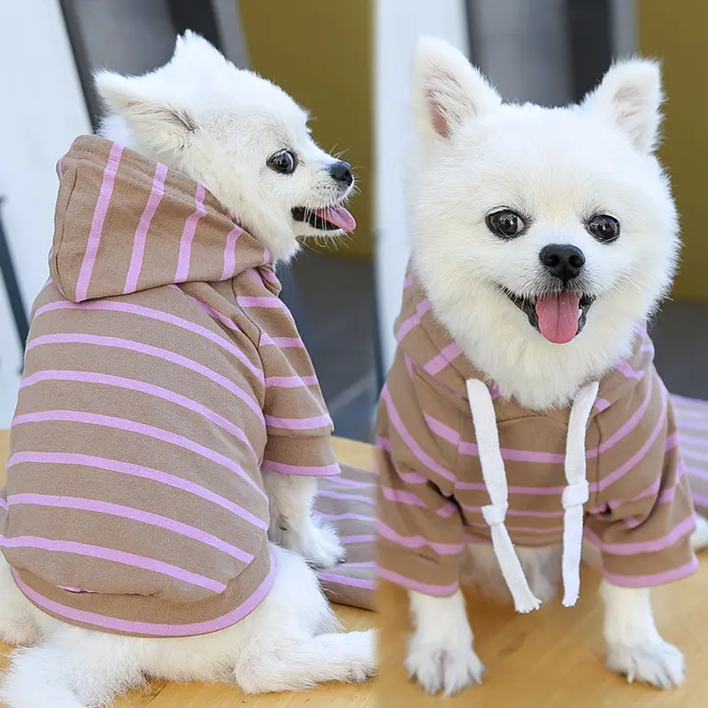 Sweat à capuche à rayures en coton pour chien, vêtement haut de gamme, printemps et été