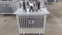 100kVA-2500kVA Üç Fazlı 35kV 60Hz Yağlı Tip Güç Trafosu Tam Bakır Dış Mekan Tipi Afrika Pazarı için