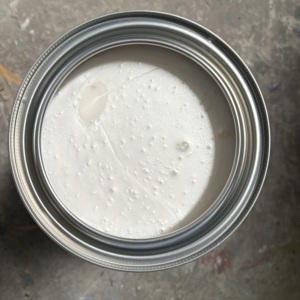 Haiwen TOY 4Runner Pearl 077, <span class=keywords><strong>Kit</strong></span> de <span class=keywords><strong>pintura</strong></span> para <span class=keywords><strong>coche</strong></span>, revestimiento líquido mixto para <span class=keywords><strong>coche</strong></span> y barco, <span class=keywords><strong>pintura</strong></span> de <span class=keywords><strong>retoque</strong></span> para aplicación en aerosol - Product Image 4